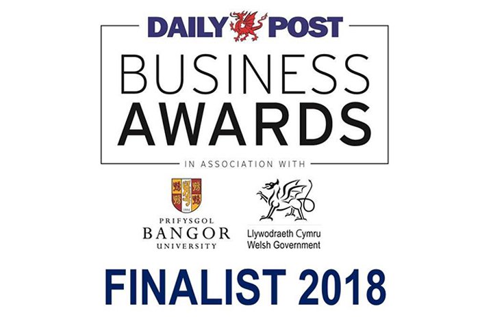 Daily Post Business Awards Finalist logo